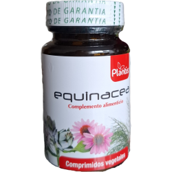 EŽIUOLĖ echinacea purpurea...