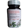 EŽIUOLĖ echinacea purpurea 50tab.