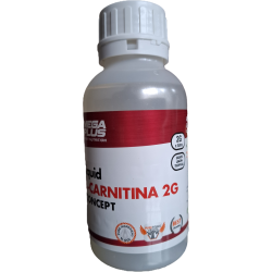L-Carnitine 500 ml.